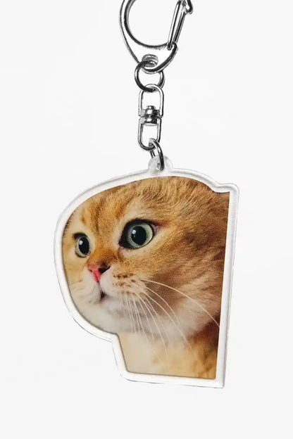 Sad and Angry Cat Meme • Keychain Acrylic