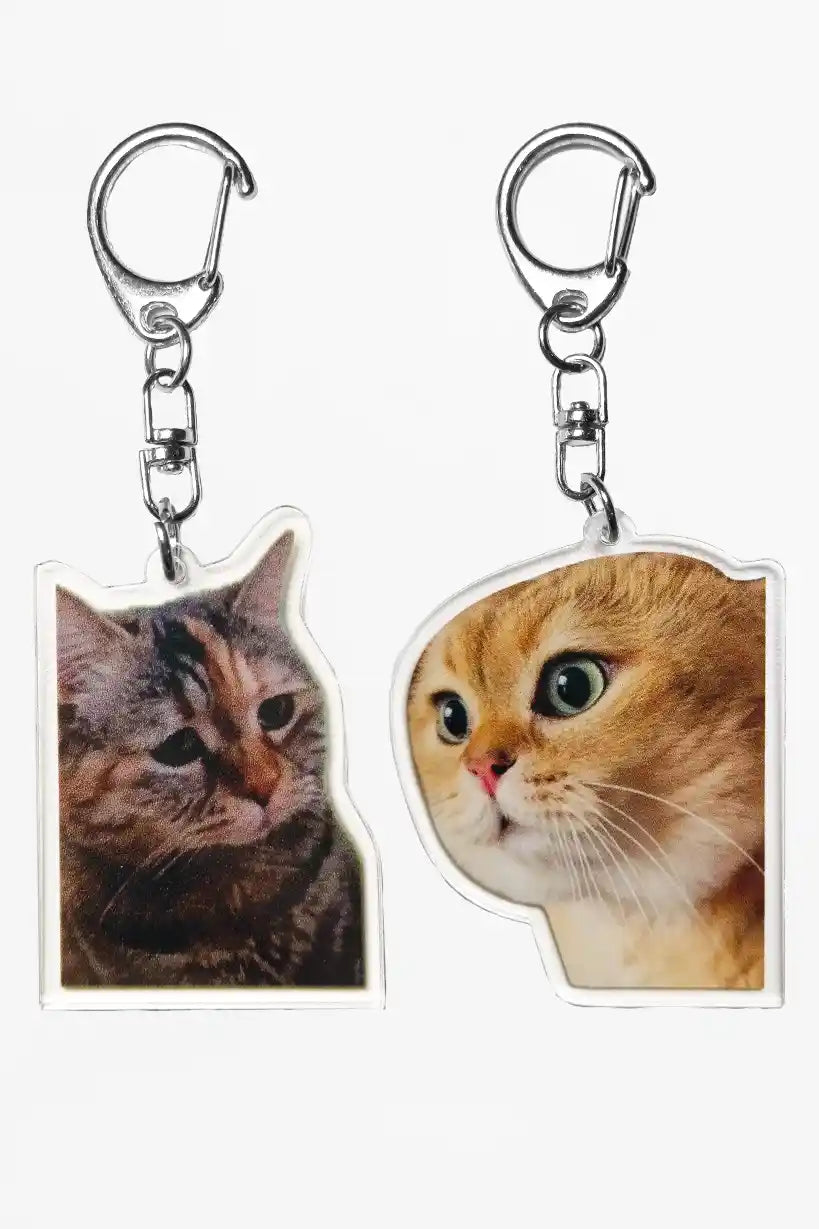 Sad and Angry Cat Meme • Keychain Acrylic