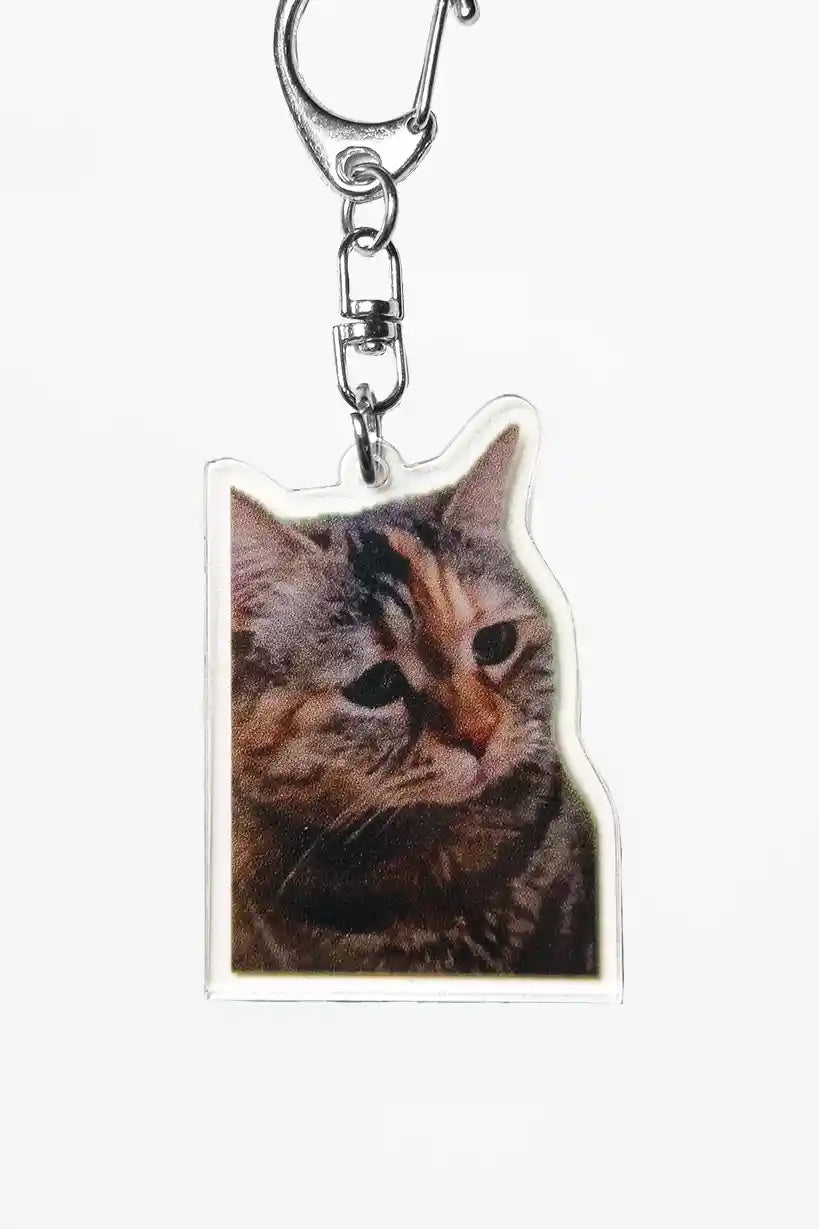 Sad and Angry Cat Meme • Keychain Acrylic